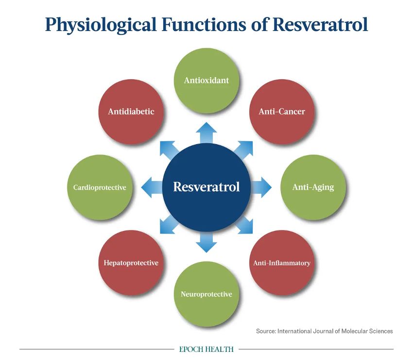 resv-ciclo-dr-jose-nasser