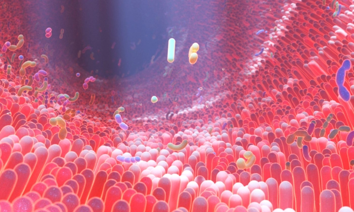 microbioma-dr-jose-nasser-aquera