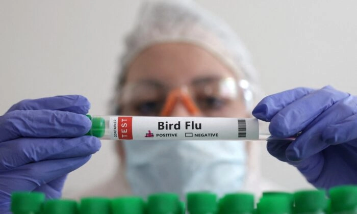 Bird-Flu-test-tube-dr-jose-nasser-aquera700x420