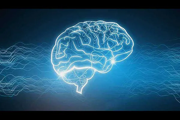 cerebro-neuroplasticidade-dr-jose-nasser-aquera