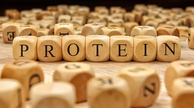guias-de-proteinas-dr-jose-nasser-aquera