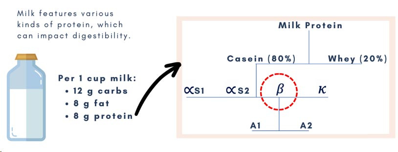 variação-leite-caseina-dr-jose-nasser-aquera