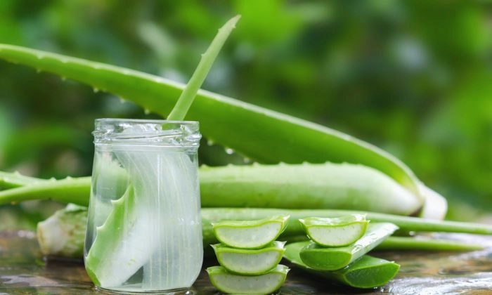 Aloe-vera-drjosenasser- aquera700x420